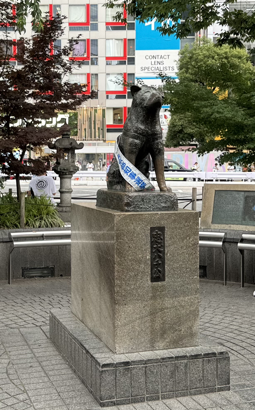 Justin M
