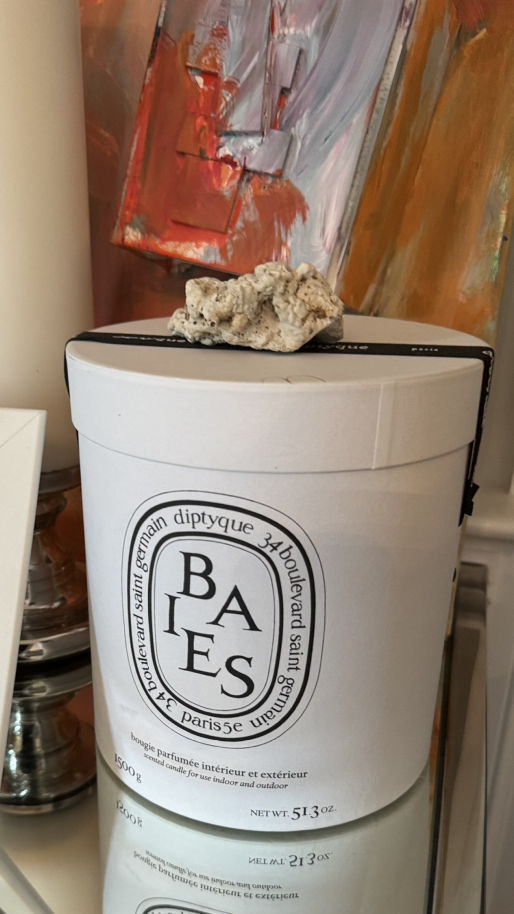 diptyque candle 1500g 