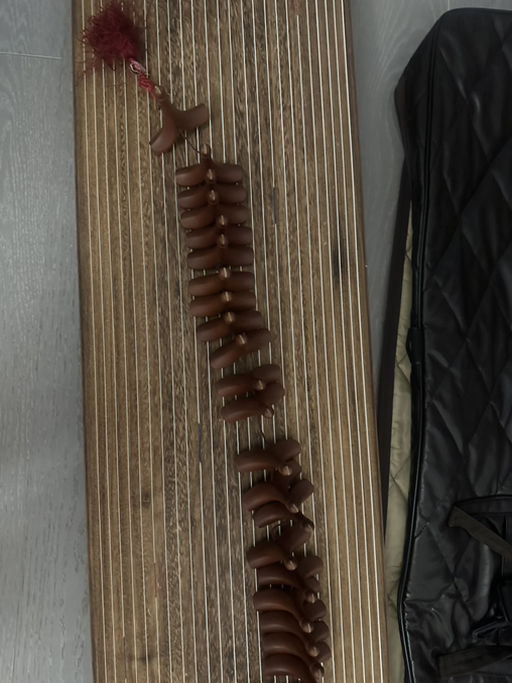 Korean Zither(Gayageum) - Photo 5 view in Upper West Side