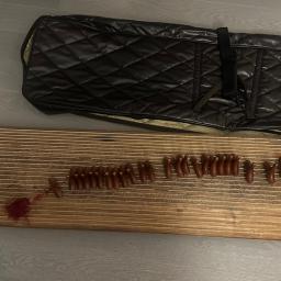 Korean Zither(Gayageum) - Photo 3 view in Upper West Side