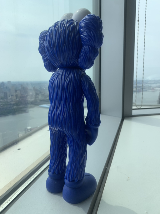 &KAWS  - Photo 3 view in New York area