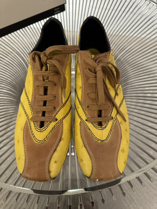 Bottega Veneta Ostrich Shoes