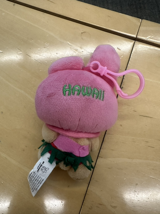 sanrio tanning mymelody - Photo 2 view in Upper East Side