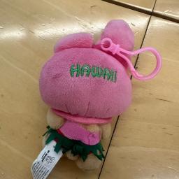 sanrio tanning mymelody - Photo 2 view in Upper East Side