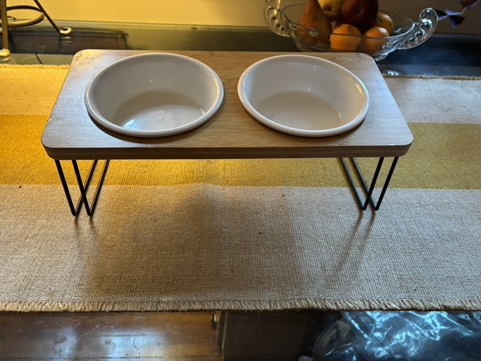 raised pet feeding station