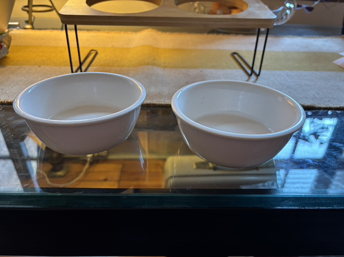 raised pet feeding station - Photo 3 view in Manhattan, NY