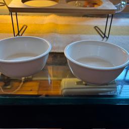 raised pet feeding station - Photo 3 view in Manhattan, NY