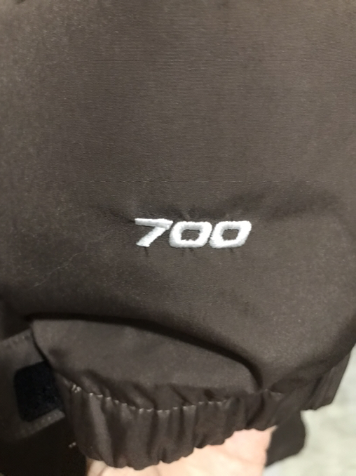 Men's The North Face Nuptse Long 700 Parka - Photo 4 view in Manhattan, NY