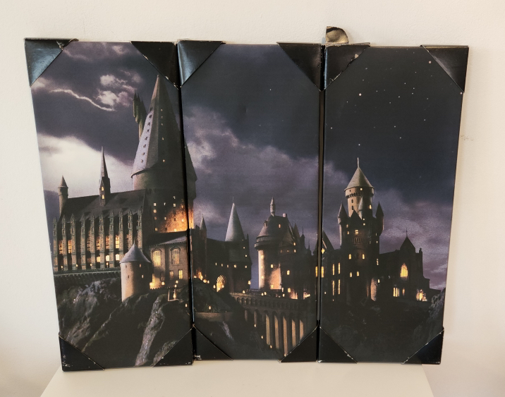 Harry Potter Hogwarts Castle 3-Panel Artwork – Used
