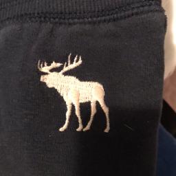 Abercrombie Stretch Sweatpants - Photo 2 view in Queens, NY