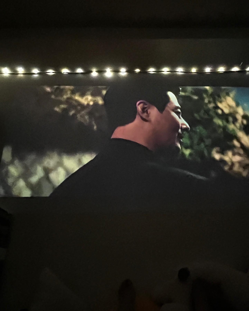 Home Projector