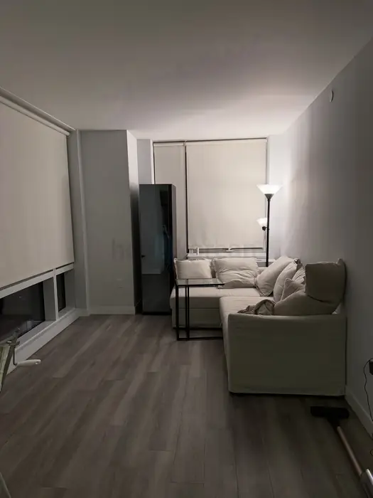 Downtown Brooklyn Sublet - Photo 3 view in Manhattan, NY