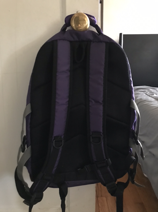 Free Aizim Backpack – Gently Used, Still in Great Condition - Photo 2 view in Queens, NY