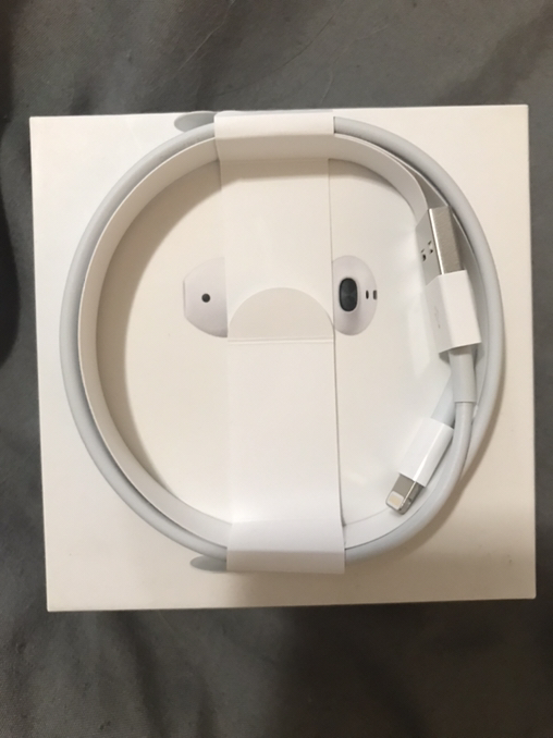 Apple Lightning to USB Cable