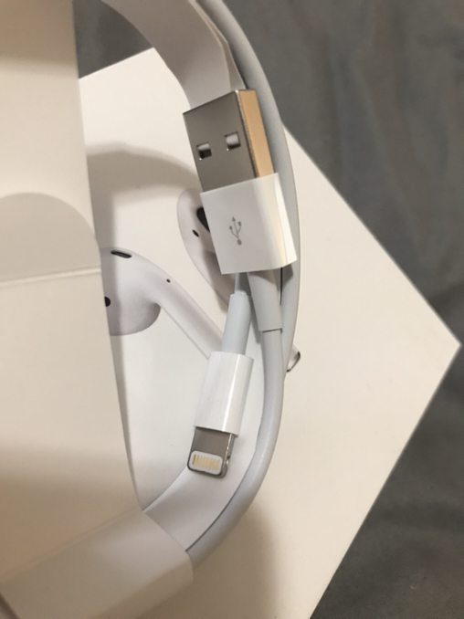 Apple Lightning to USB Cable - Photo 3 view in Queens, NY
