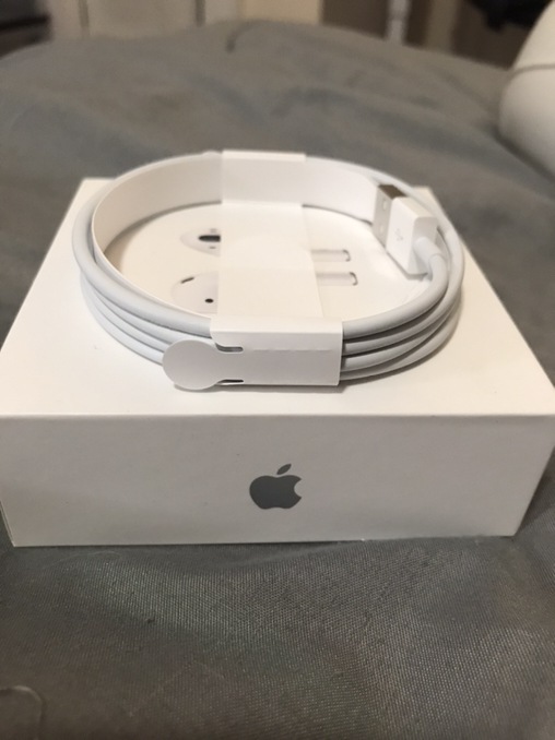 Apple Lightning to USB Cable - Photo 2 view in Queens, NY