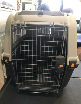 Used Medium to large dog crate - Photo 2 view in Queens, NY