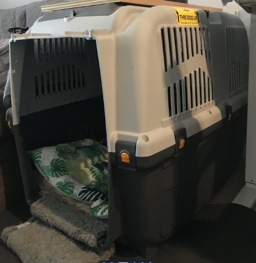Used Medium to large dog crate - Photo 4 view in Queens, NY