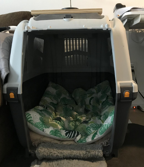 Used Medium to large dog crate - Photo 3 view in Queens, NY