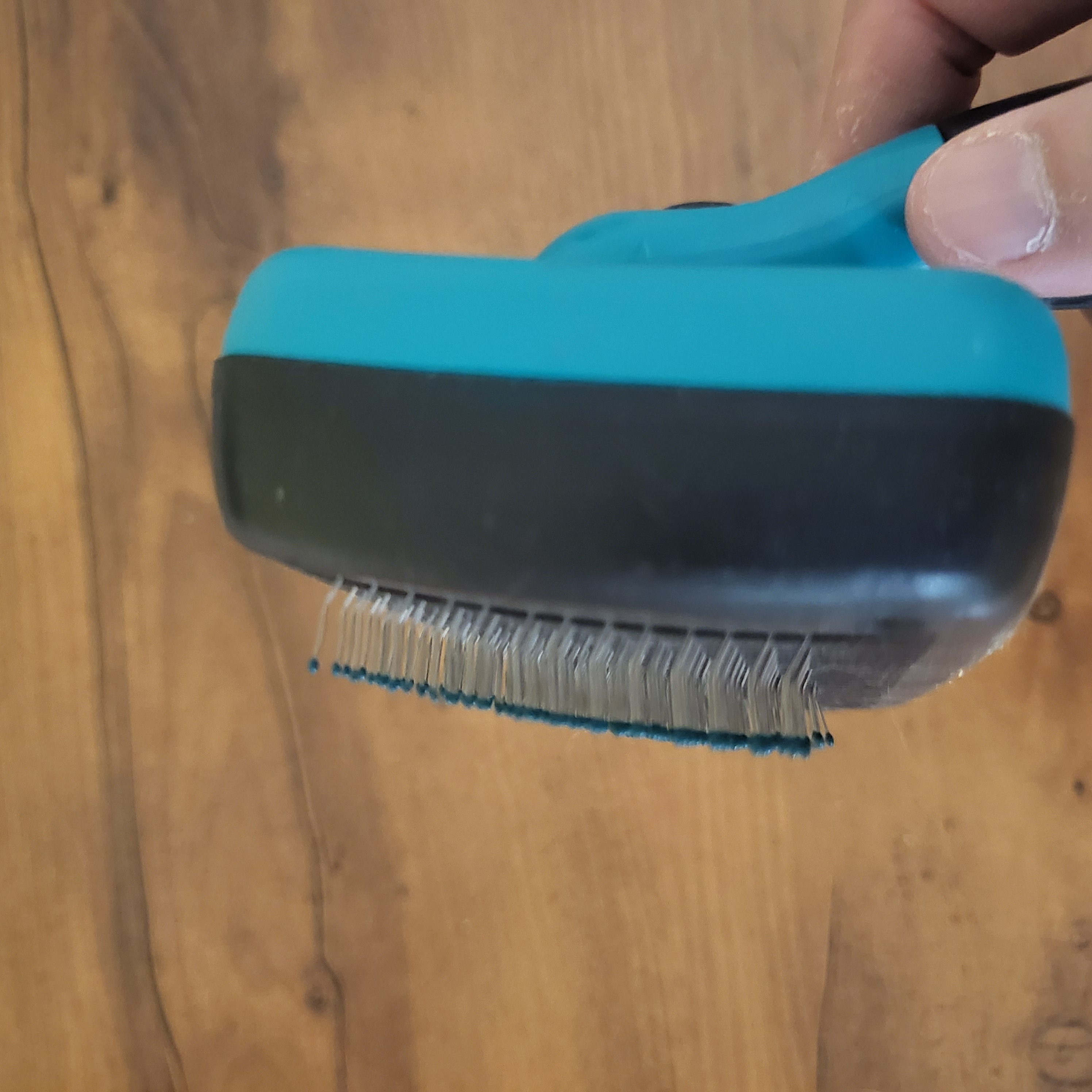 cat brush - Photo 4 view in Manhattan, NY
