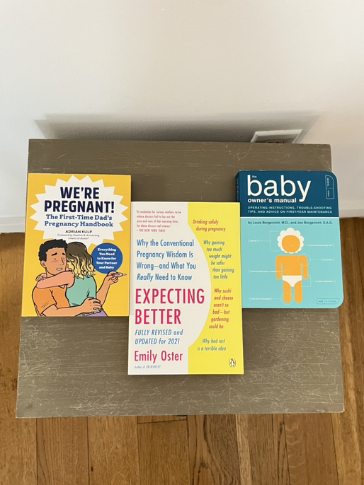 Pregnancy and Early Parenting Books Bundle