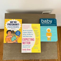 Pregnancy and Early Parenting Books Bundle
