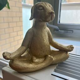 Meditating Dog Figurine - Photo 3 view in Queens, NY