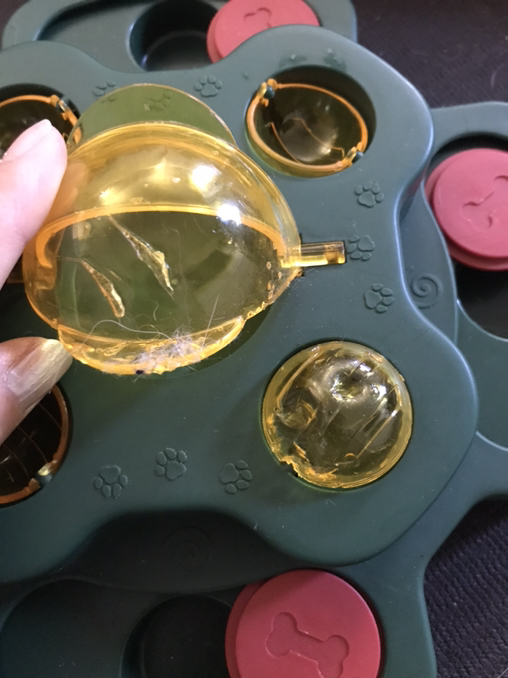 Interactive Dog Puzzle Toy – Treat-Hiding Fun! - Photo 2 view in Queens, NY