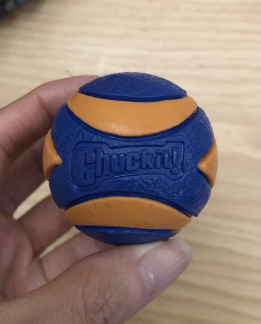 Chuckit - Ultra Squeaker Balls for Dogs - Photo 3 view in Queens, NY