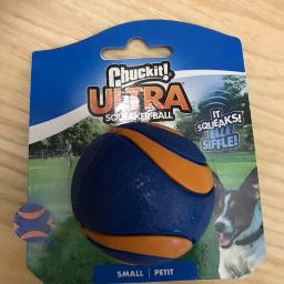 Chuckit - Ultra Squeaker Balls for Dogs