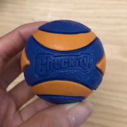 Chuckit - Ultra Squeaker Balls for Dogs - Photo 3 view in Queens, NY