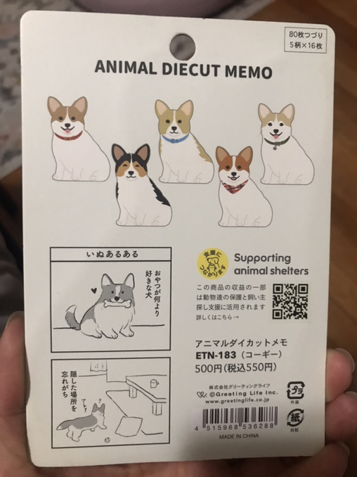 Cute Welsh Corgi Memo - Photo 2 view in Queens, NY