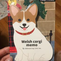 Cute Welsh Corgi Memo