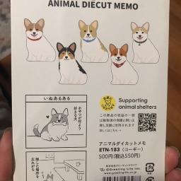 Cute Welsh Corgi Memo - Photo 2 view in Queens, NY
