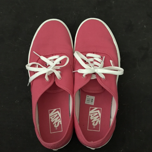 Vans Authentic Shoe mens