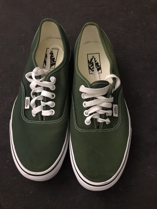 Vans Authentic Shoe Green