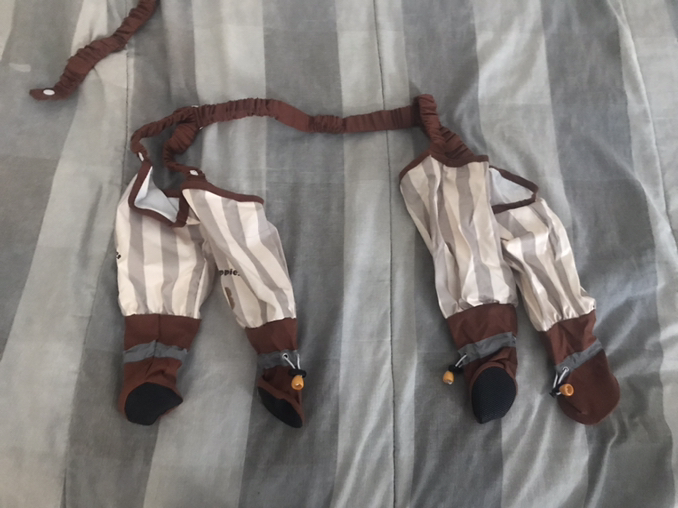 Anti Dust Pants with Shoes for Dogs - Photo 2 view in Queens, NY